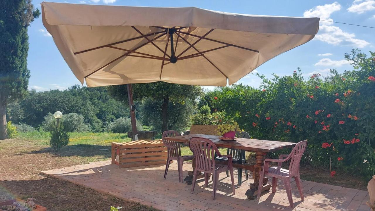 Il Paretaietto Apartment Certaldo Ngoại thất bức ảnh